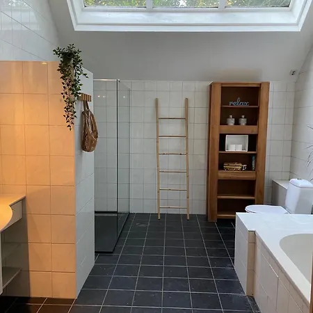 Carpe Diem Met Bar Biljart En Sauna *