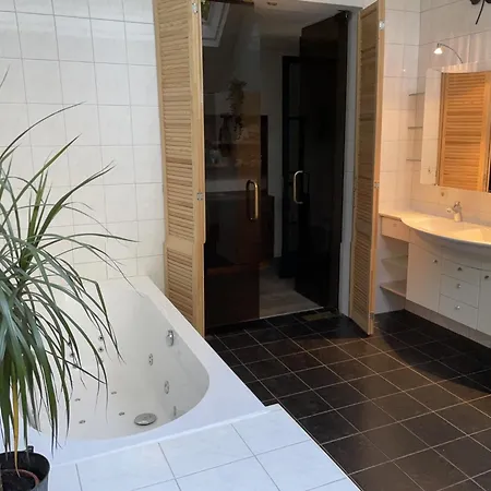 Carpe Diem Met Bar Biljart En Sauna Villa